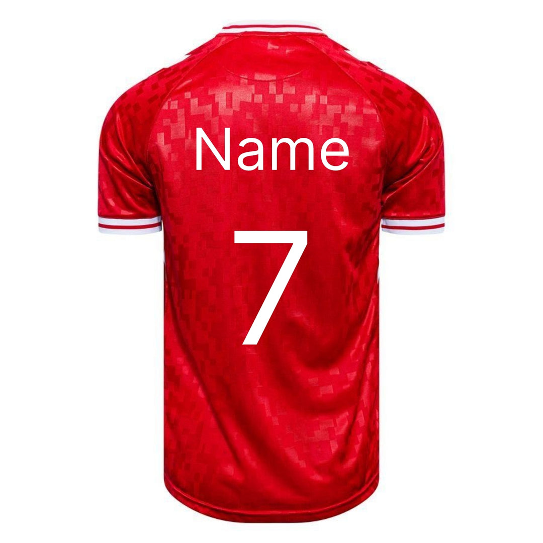 Denmark home Soccer Jersey Wholesale 2024/25