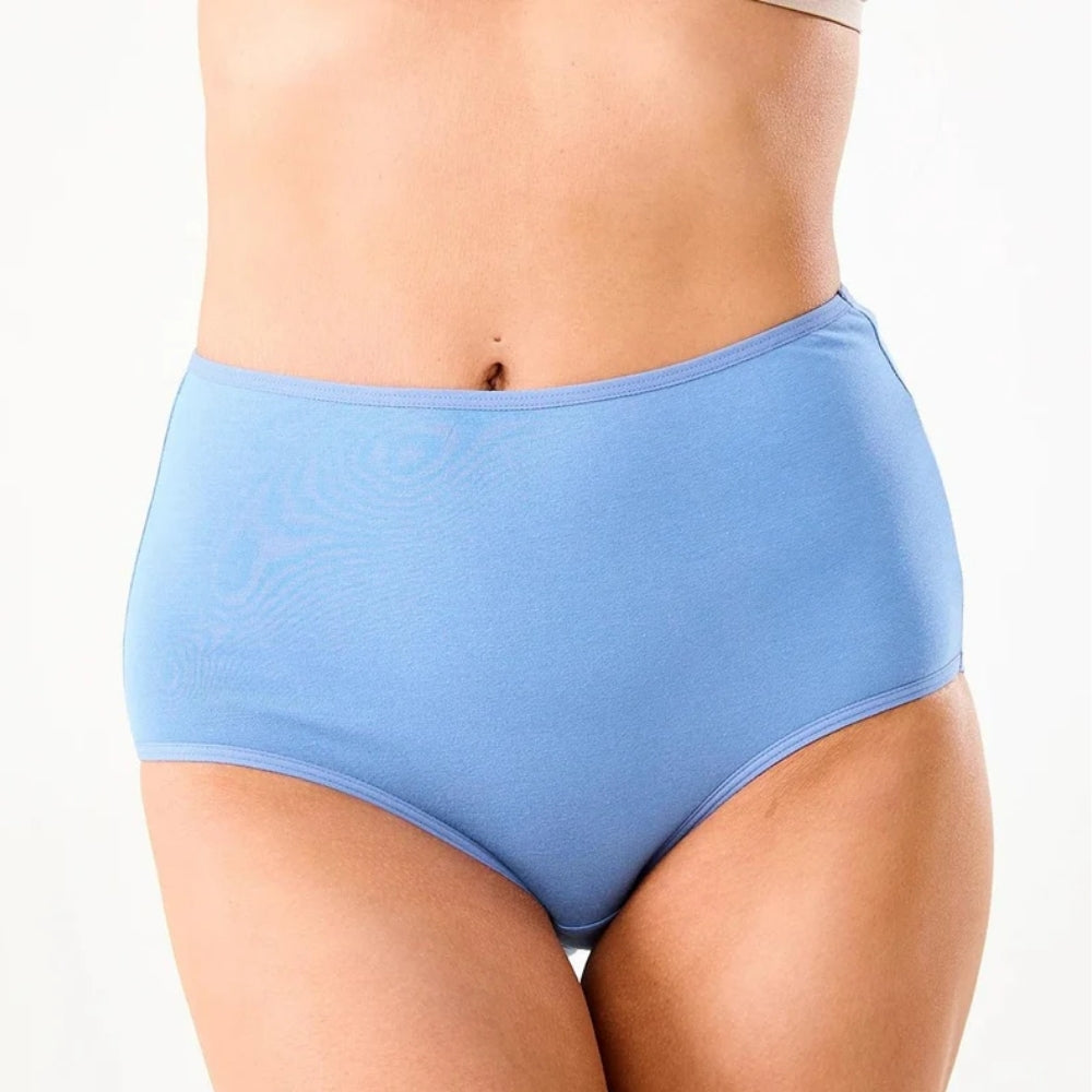 Bulk Buy Women Basic Cotton Brief Panties