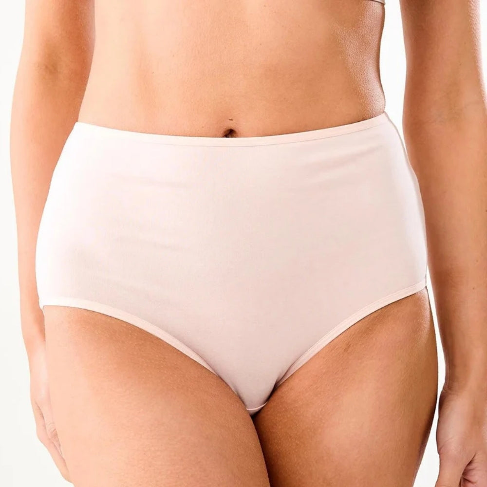 Bulk Buy Women Basic Cotton Brief Panties