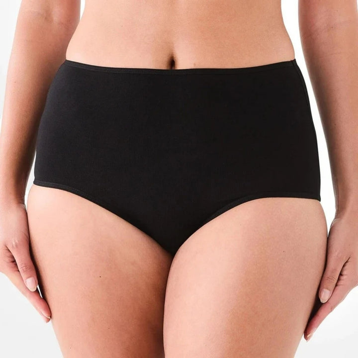 Bulk Buy Women Basic Cotton Brief Panties