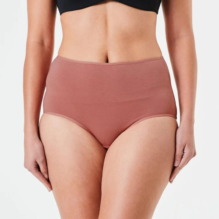 Bulk Buy Women Basic Cotton Brief Panties